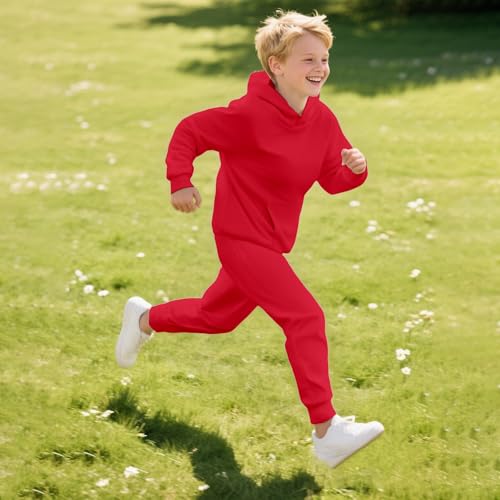 Cute Clothes for Girls Sweatsuit Sets Casual Sweatpants 2 Piece Outfits Sweatshirt and Pants Boy's Tracksuit Cotton Pullover3