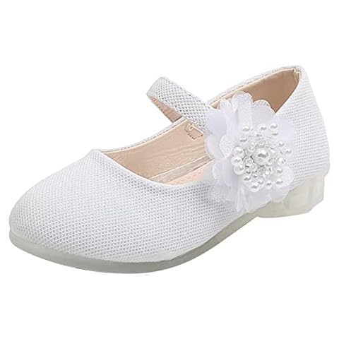 Mary Jane Ballerine Chaussures de princesse Cover