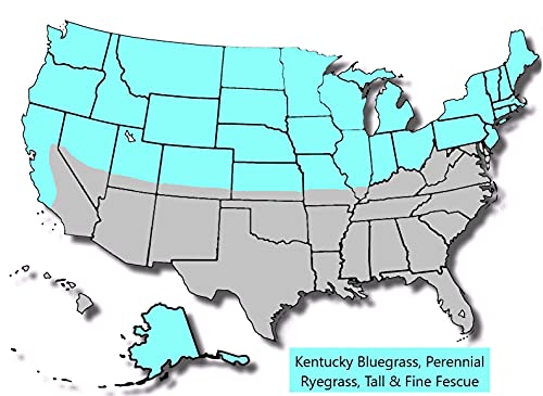 Jacklin Seed by Barenbrug - Heisman Mix | 85% Kentucky Bluegrass, 15% Perennial Ryegrass | Certified Grass Seed (5 lbs (2,000 sq ft))