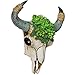 alikiki Bull Skull Head Wall Decor - Succulent Flowers Resin Cow Horn Southwestern Wall Hanging 3D Animal Sculpture Crafts Western Boho Decor for Bedroom Living Room