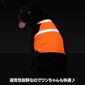 濃い色味、黒系　犬の服 濃い色味、黒系 犬の服 濃い色味、黒系犬の服