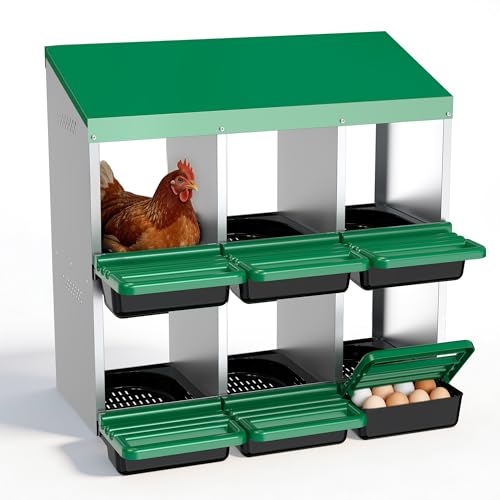 Eggluuz 6 Compartment Roll-Away Box