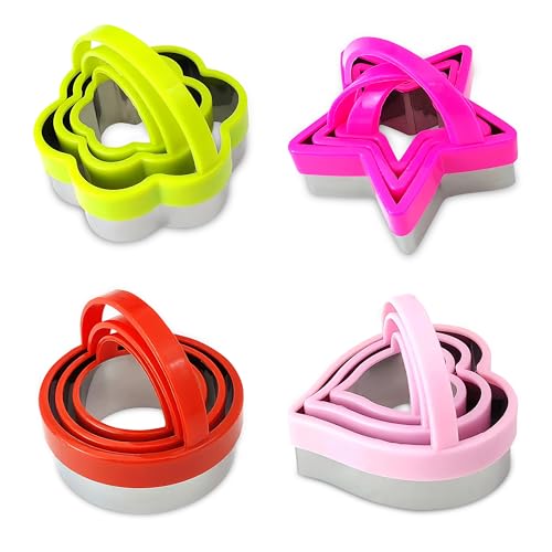 12-Piece Stainless Steel Cookie Cutter Set with Handles - Heart, Flower, Round, Five Star Shapes - Fruit Vegetable, Small Stainless Steel Biscuit Mold for Baking (Multicolor)