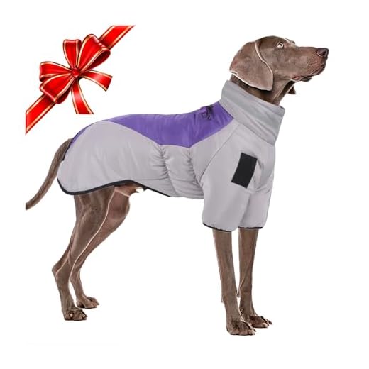 Abrigo Impermeable para Perro, Chaqueta Cálida de Invierno, Ropa a Prueba de Viento para Mascotas, Chaqueta Deportiva para Perros de Tamaño Mediano Grande con Hebilla de Arnés y Banda Reflectante