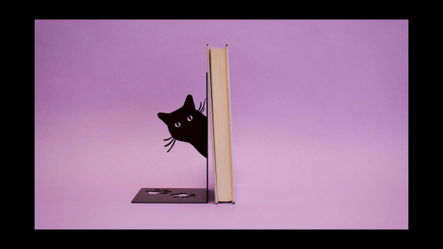 Black Cat Bookends, Book Holder For Bookcase, Bookends For Shelves - View #3
