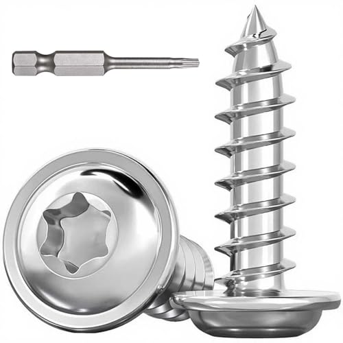 Dayalo 30 Stück Blechschrauben Torx M4 x 12mm, Blechschrauben Edelstahl A2 V2A, Linsenkopfschrauben Holz, Selbstschneidende Schrauben mit Scheibe, mit Schraubendreher Bit, Vollgewinde