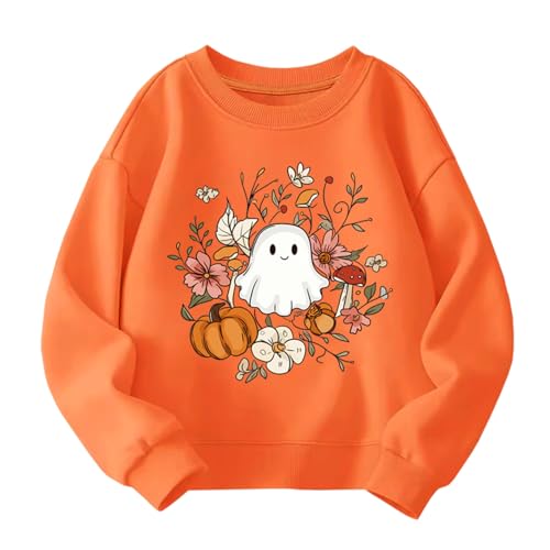 Toddler Halloween Sweatshirt Boys Girls Pumpkin Ghost Dinosaur Graphic Tees Kids Long Sleeve Outfit Tops 2-7t