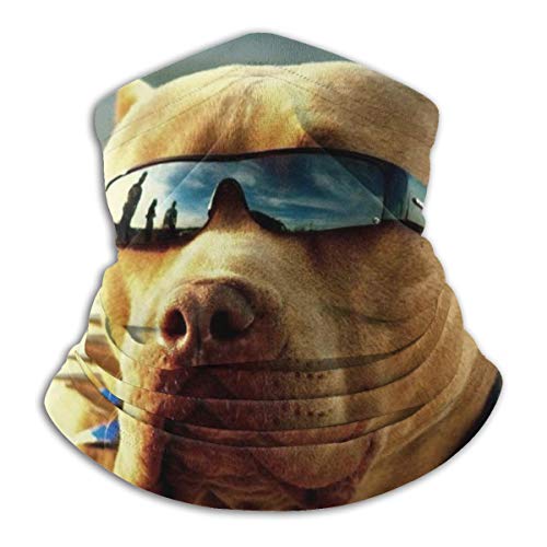 Pitbull Dogs With Cool Glasses Outdoor Neck Warmer Windproof Face Mask Fleece Hood