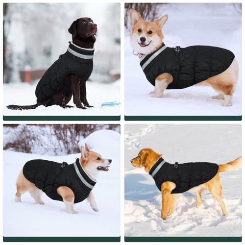 Kuoser Winter Hundejacke für mittelgroße Hunde, Wasserdichter & Winddichter Hundemantel mit Fleecefutter, Reißverschluss, D-Ring & Reflektoren, Warme Outdoor Hundebekleidung für Herbst & Winter, L