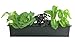 Pennington Décor 100507831 New England Pottery Window Box, 31.65