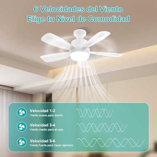 REYLAX Ventilador de Techo con Luz, 50cm E27 LED Lampara Ventilador 2000LM Regulable, 3 Temperaturas de Color, 6 Velocidades, Temporizador, Apto para Dormitorio, Cocina, 5 Aspas, Blanco - imagen 3