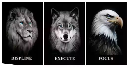 Motivational Wall Poster Set of 3, Lion Wolf Eagle Black, Dark Black | Discipline Execute Focus, Inspirational Quote, Office & Home Decor, Black Background, Wildlife Art Print-image-48