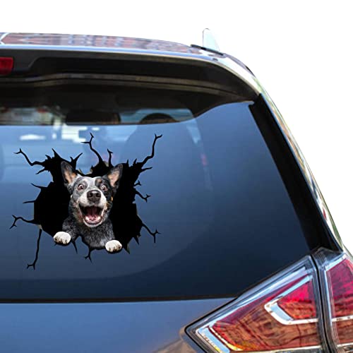 Heeler Aufkleber Blue Heeler Autozubehör gestanzte Fahrzeuge...