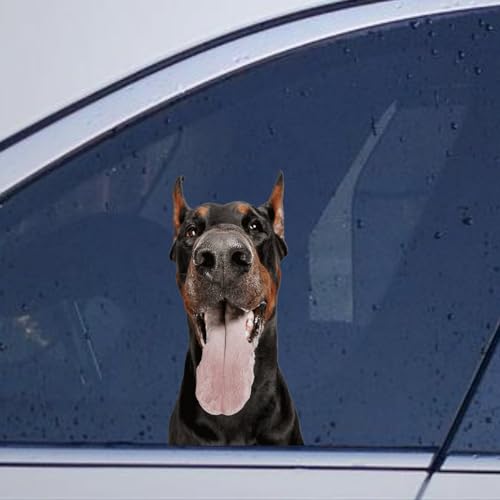 Image of Doberman Dog Stickers - Car & Laptop Decals, Funny Animal Pet Lover Gift Vinyl Die Cut Decals