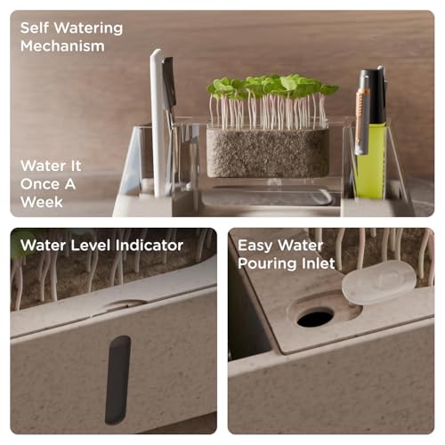 Image of eo Desk Organizer with Tissue Dispenser, Pen Stand & Phone Holder | Multipurpose Stationery Organizer for Office Desk, Study Table & Home | Made with 35% Rice Husk Blend (Versa, Sustainable)