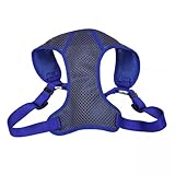 Coastal Pet Comfort Soft Sport Wrap Adjustable Dog Harness - Large & Small Dog Harness - Durable Harness for Dogs with Mesh Chest Pad - Grey with Blue, 5/8' x 16-19'