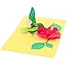 PopLife Hummingbird and Hibiscus 3D Pop Up Mother’s Day Card - Anniversary, Birthday, Valentine's Day - for Mom, for Her, for Sister, Daughter, Grandma, Wife - Thank You, Get Well