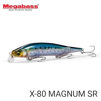 シーバス用　ルアー X-80Jr.SW(エックスハチマルジュニアSW) GG ヒートイワシ ルアー