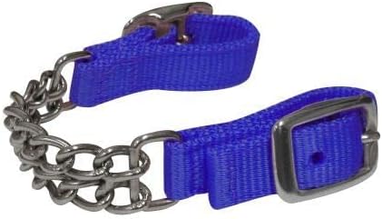 Adjustable Double Chain Nylon Curb Strap (Teal)