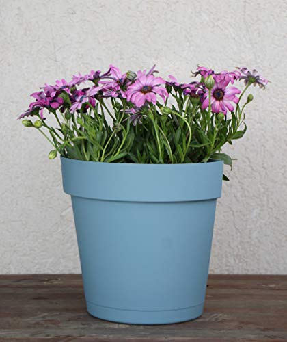 Tabor Tools 8.5 Inch Wall Planter For Vertical Flower Garden, Living Wall Or Kitchen Herbs, Wall Mountable Plastic Planter With Flat Back Design And Attached Saucer.vem605A. (Pastel Blue) #TOP4