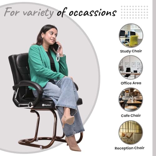Image of GOYALSON Deluxe Cushioned Office Home Study Chair with Chrome Durable Frame and Cushioned seat Back (2, Black, Copper Coated Double Pipe Frame)