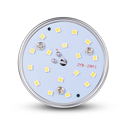 Auzer 2-Pack 30W (200W Equivalent), E26 Standard Base Led Corn Light Bulb For Garage Factory Warehouse Street Lamp Post Lighting Barn Porch Backyard Garden, 6500K Daylight, 85V-265V #TOP3