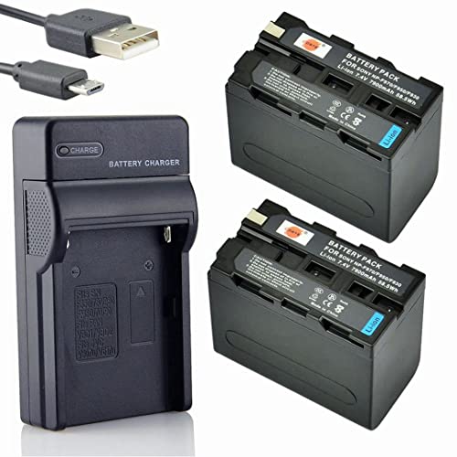 DSTE NP-F970 Camera Batterij (2 Stuks) En Oplader Compatibel Met Sony CCD- TR500, CCD-TR511E, CCD-TR512E, CCD-TR515E, CCD-TR516, CCD-TR516E, CCD-TR517, CCD-TR555, CCD-TR57