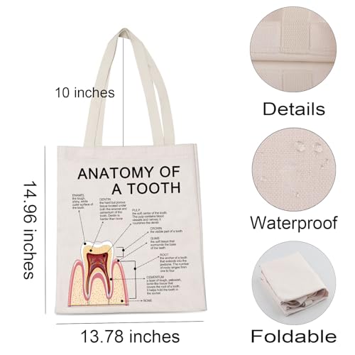 Sac à provisions assistant dentaire anatomie d'une dent en coton taille M - 4