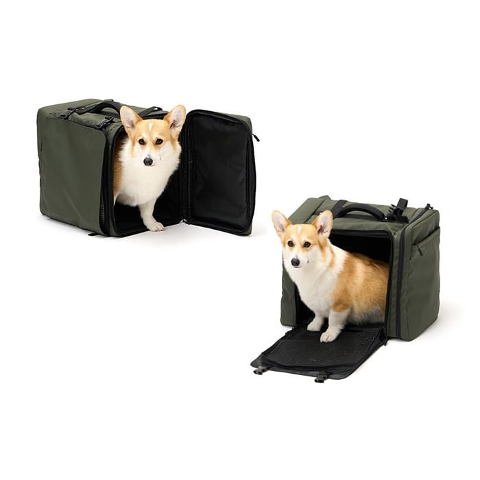 Amazon.co.jp: 【LIFELIKE公式】2WAYボックスキャリー 犬 バックパック