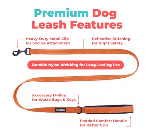 Image of Best Pet Supplies Voyager Reflective Dog Leash or Collar with Neoprene Handle, for Small, Medium, and Large Breed Puppies, Cute and Heavy Duty for Walking, Running and Training - Orange (Leash), L