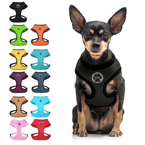 BINGPET Small Dog Harness, No Pull Dog Harness Small Sized