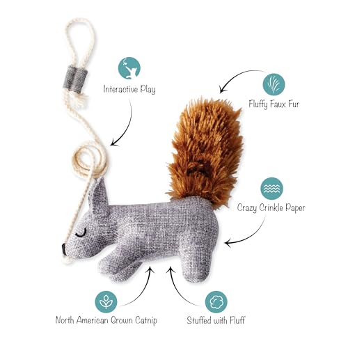 Fringe Un tuf Chat réchauffez un mur blanc froid avec ce textile