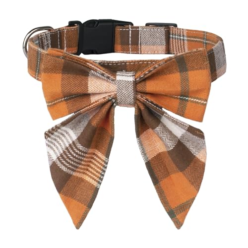 Fall Dog Collars The 15 best products compared Wild Explained