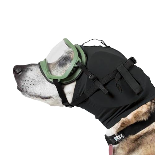 Image of Rex Specs Ear Pro | Noise Cancelling Ear Wraps for Dogs | Dog Ear Muffs Noise Protection