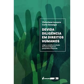 Capa do livro Devida Diligência em Direitos Humanos - 2024