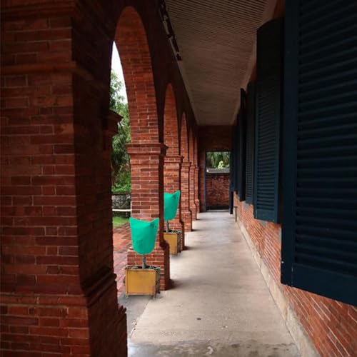 ZEACCT 2er-Pack Frostschutz-Pflanzenschutz, Winter-Kordelzug-Pflanzenschutz, Warmer Pflanzenschutz, Topfpflanzenschutz, Winddichter Pflanzenschutz, Vliesstoff, Wiederverwendbar (Grün)