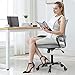BestOffice Office Chair Ergonomic Cheap Desk Chair Mesh Computer Chair Lumbar Support Modern Executive Adjustable Stool Rolling Swivel Chair for Back Pain (Grey)