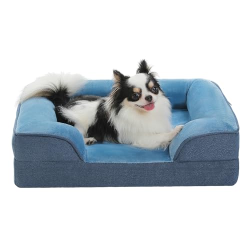PAWZ Road Panier Chien en Peluche Petite Taille S, 61x45x16cm, Canapé pour Chien Orthopédique Lavable avec Housse Amovible en Flanelle, Bleu