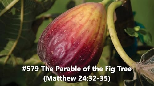 #579 The Parable of the Fig Tree
