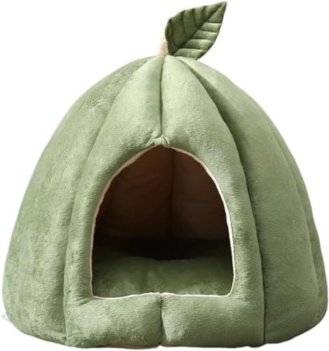 YIJOFU lR񂪗h[^̃ybgnEX ybg nEX ybgxbh CY  L h[^ 킢 @  p ~ ~ H  Ck lR h ybgnEX ΍ (50*50*40,O[