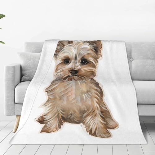 ѕz [NV[EeA [L[  킢  uPbg _炩G  GARuPbg ӂӂ Ђ|  tl Ódh~ 􂦂 lC Mtg lGKp 125cmx150cm