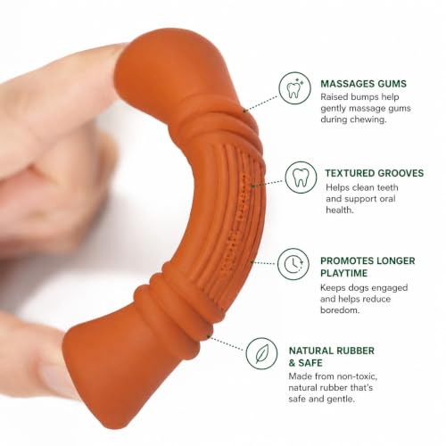 Image of Green Sheep Enrichment Dog Bone for Puppies and Small Dogs, Natural Rubber Treat Dispensing Chew Toy with Textured Surface for Mental Stimulation & Dental Support, Interactive Dog Toys