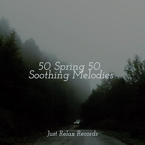 50 Spring 50 Soothing Melodies von Relaxing Spa Music bei Amazon Music