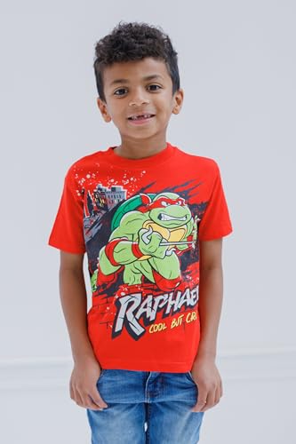 Teenage Mutant Ninja Turtles Leonardo Michelangelo Raphael Donatello 4 Pack T-Shirts Toddler to Big Kid2