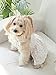 QWINEE Lace Trim Dog Dress Apparel Cherry Print Cat Puppy Skirts Cute Pet Tutu Breathable Summer Birthday Holiday Dress for Small Medium Dogs Cats Kitten White S