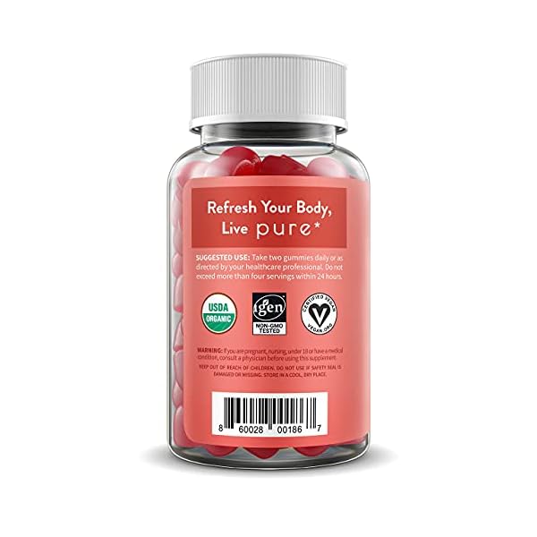 WellPath Pure ACV Apple Cider Vinegar Gummies with The Mother - USDA Organic Gummy - Vegan - Raw Apple Cider Vinegar with Mother Supplements - ACV Gummies - Weight, Digestion & Detox Support - 60 Ct