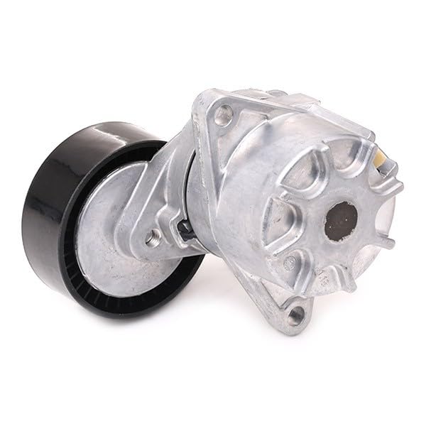 SNR GA351.40 Rullo Tenditore Per Cinghia Poly-V, Compatibile Con SMART Fortwo, City-Coupé, Roadster E Cabrio