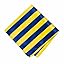 Royal Blue and Yellow