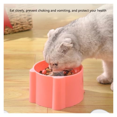 Cuenco de comida lenta para gatos en color azul 7