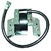 Produktbild Zündspule 2-Takter B-S 802574 Briggs & Stratton